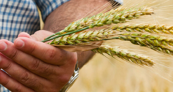 Corsi di formazione per Periti Agrari